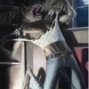 Meet your Posher, Ashlyn